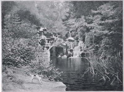 The Cascade, Virginia Water